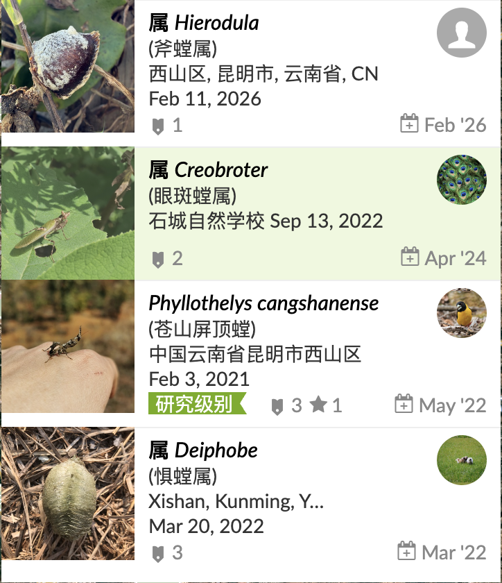 昆明游·终章(螳螂川&石城公园&返程)